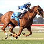 Khalifa salutes at Sandown Khalifa salutes at Sandown