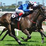 Back to back wins for Spanish Love Back to back wins for Spanish Love