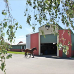 Flemington Stable video feature Flemington Stable video feature