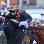 Horrifying's Derby Chance Horrifying's Derby Chance