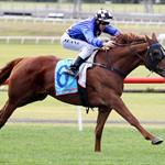 Hat trick of wins for Oltre Finito