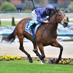 Jewels shines in win number nine Jewels shines in win number nine