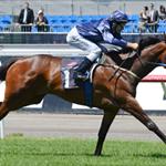 Superstar filly sparkles in Wakeful Superstar filly sparkles in Wakeful