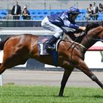 Superstar filly sparkles in Wakeful