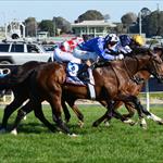 Chivalry takes first step on Guineas path Chivalry takes first step on Guineas path