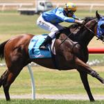 Impressive Maiden Win Shows More in Store for Crookhaven Impressive Maiden Win Shows More in Store for Crookhaven