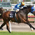 Back to Back wins for Crookhaven Back to Back wins for Crookhaven