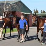 Group One trio head to Caulfield Group One trio head to Caulfield