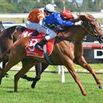 Fast Approaching returns to the winners circle at Caulfield