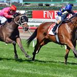 Magicool wins the UCI Stakes at Flemington