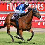 Midnight Martini - Matriarch Stakes Midnight Martini - Matriarch Stakes