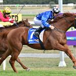 Oltre Finito breaks through at Ballarat