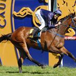 Atlantic Jewel wows them in Guineas Atlantic Jewel wows them in Guineas