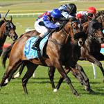 Import impresses on Aussie debut