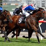 Talented colt earns a crack at the Australian Guineas Talented colt earns a crack at the Australian Guineas