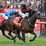 Shocking is retired to stud Shocking is retired to stud