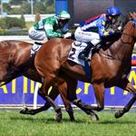 A Super win in the Autumn Classic A Super win in the Autumn Classic