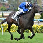 Tears of Joy brings up win number four Tears of Joy brings up win number four